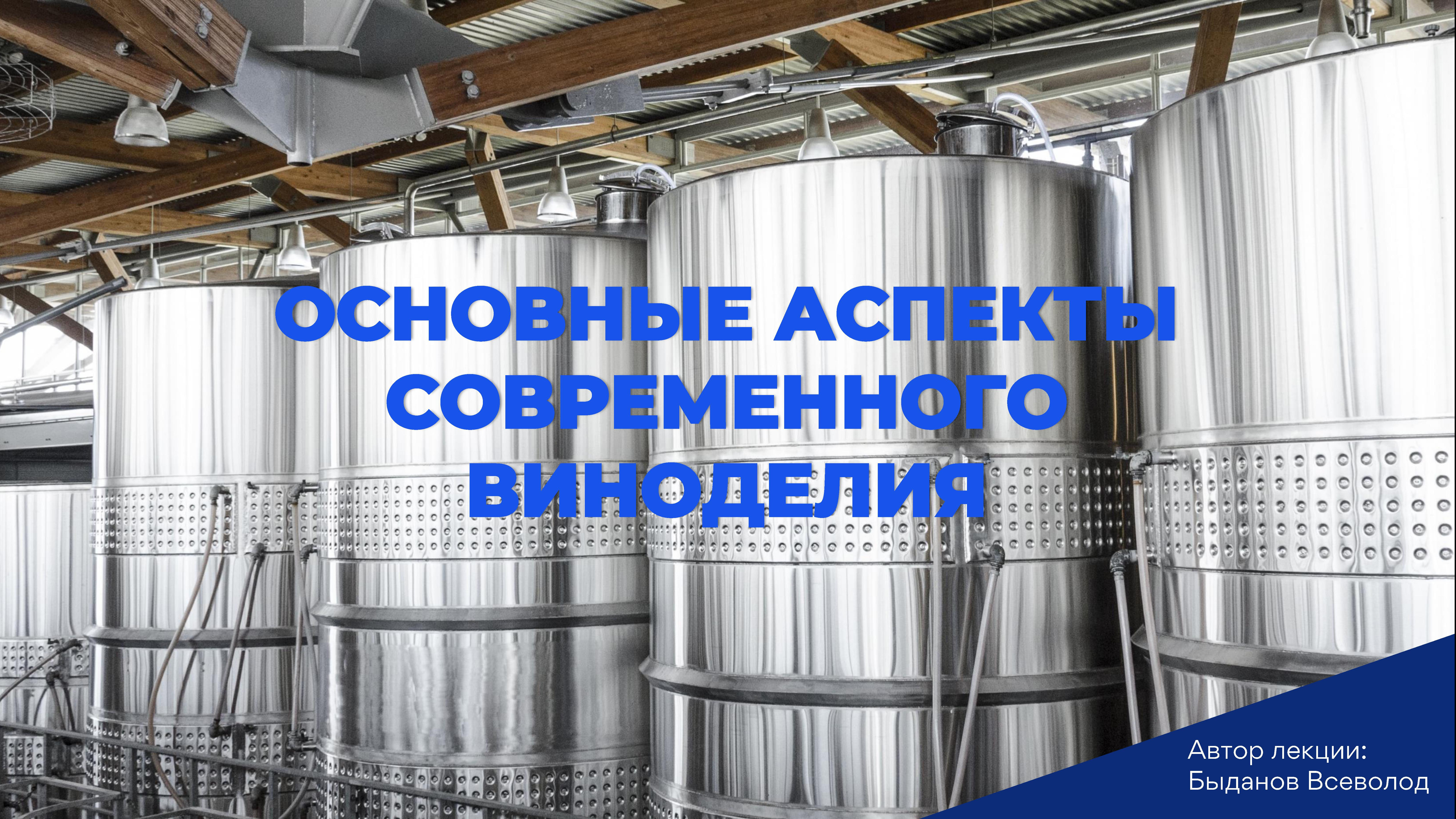 Основные аспекты современного виноделия